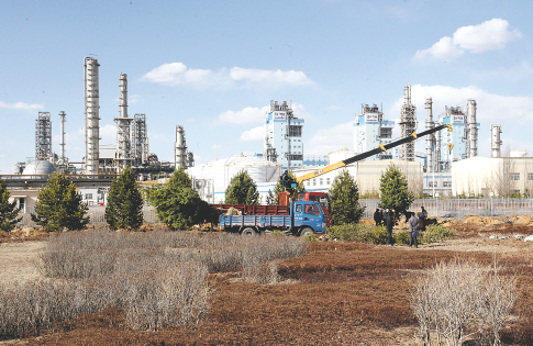 捷报即时比分手机界面